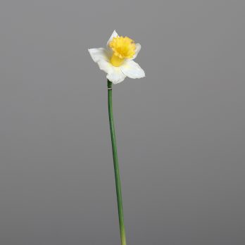 35955-45_C