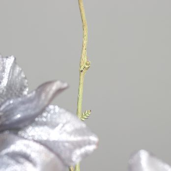 25904-2_D