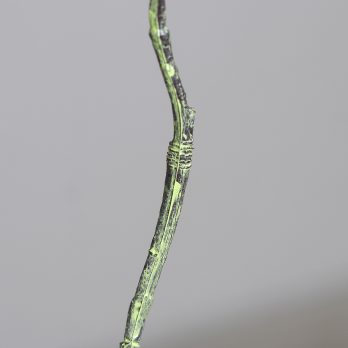 44088-06_D