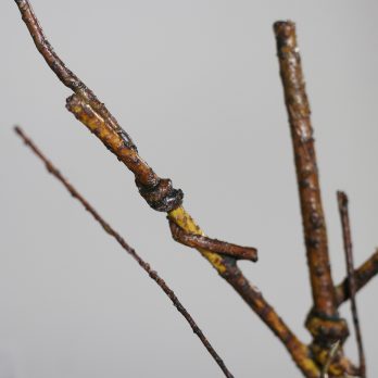 44064_E