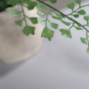 55528_E
