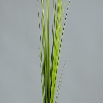 52250_V.jpg
