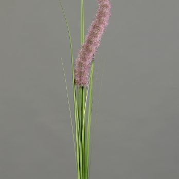57094-20_V.jpg