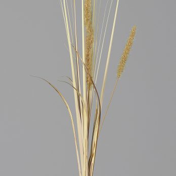 57269-76_V.jpg