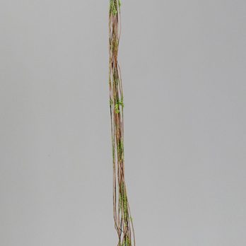 89005_Y.jpg