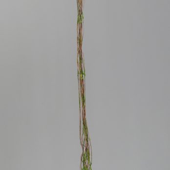 89005_V.jpg