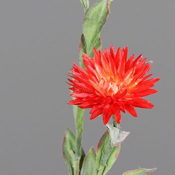 43050-02_I.jpg