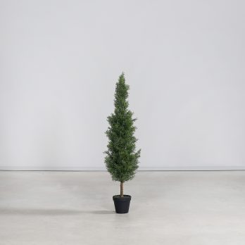 55608