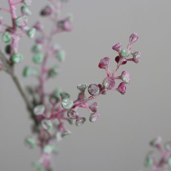 55538_B