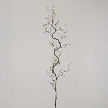 55704