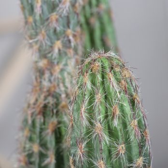55705_F