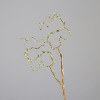 55717