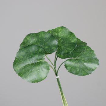 55813
