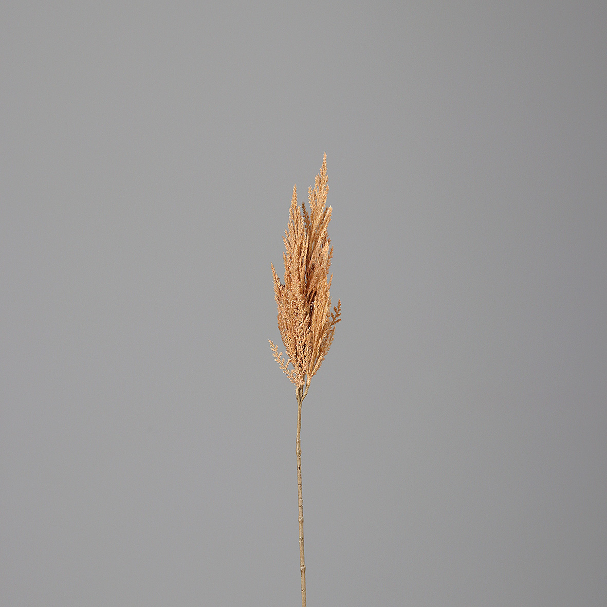 56987-28.jpg