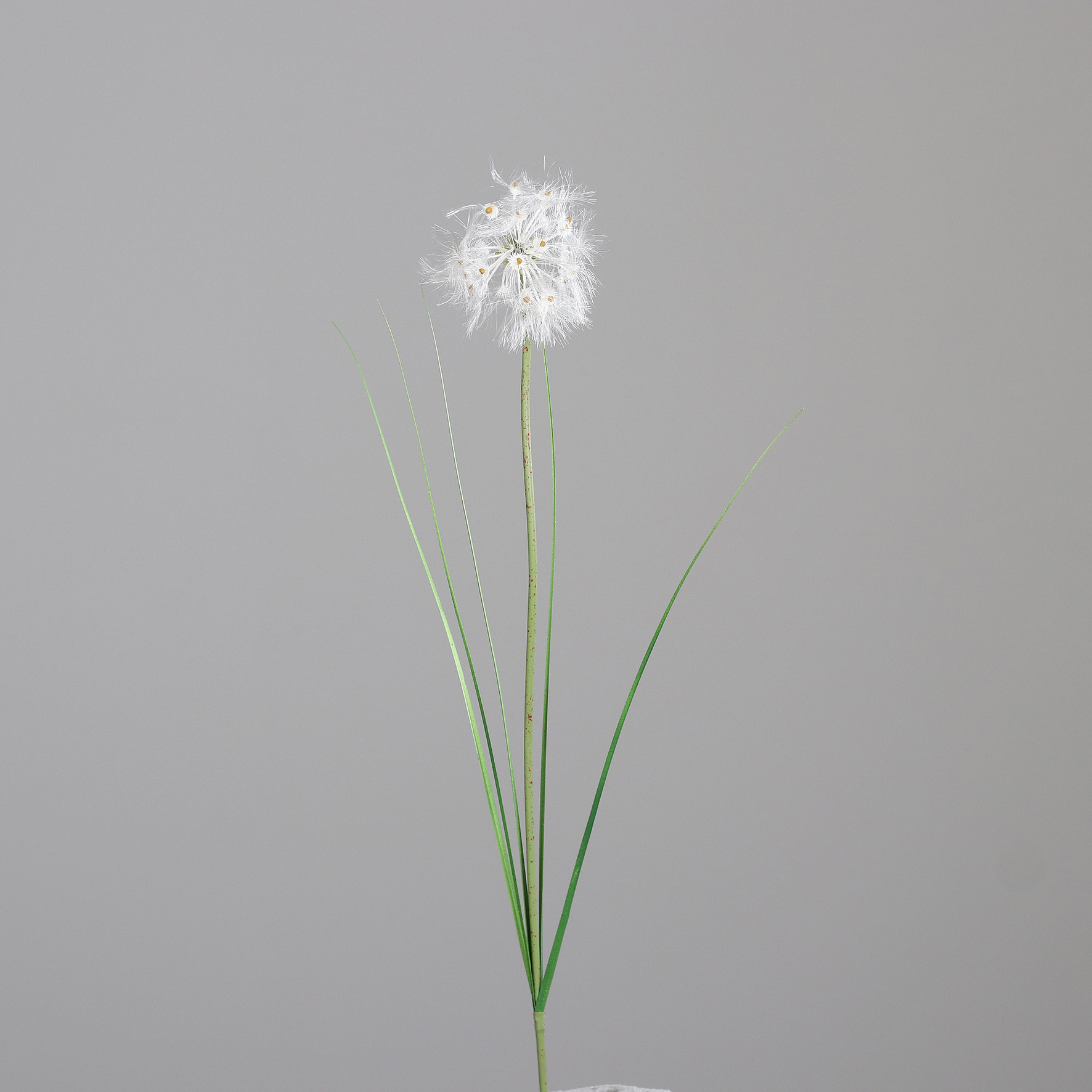 55870