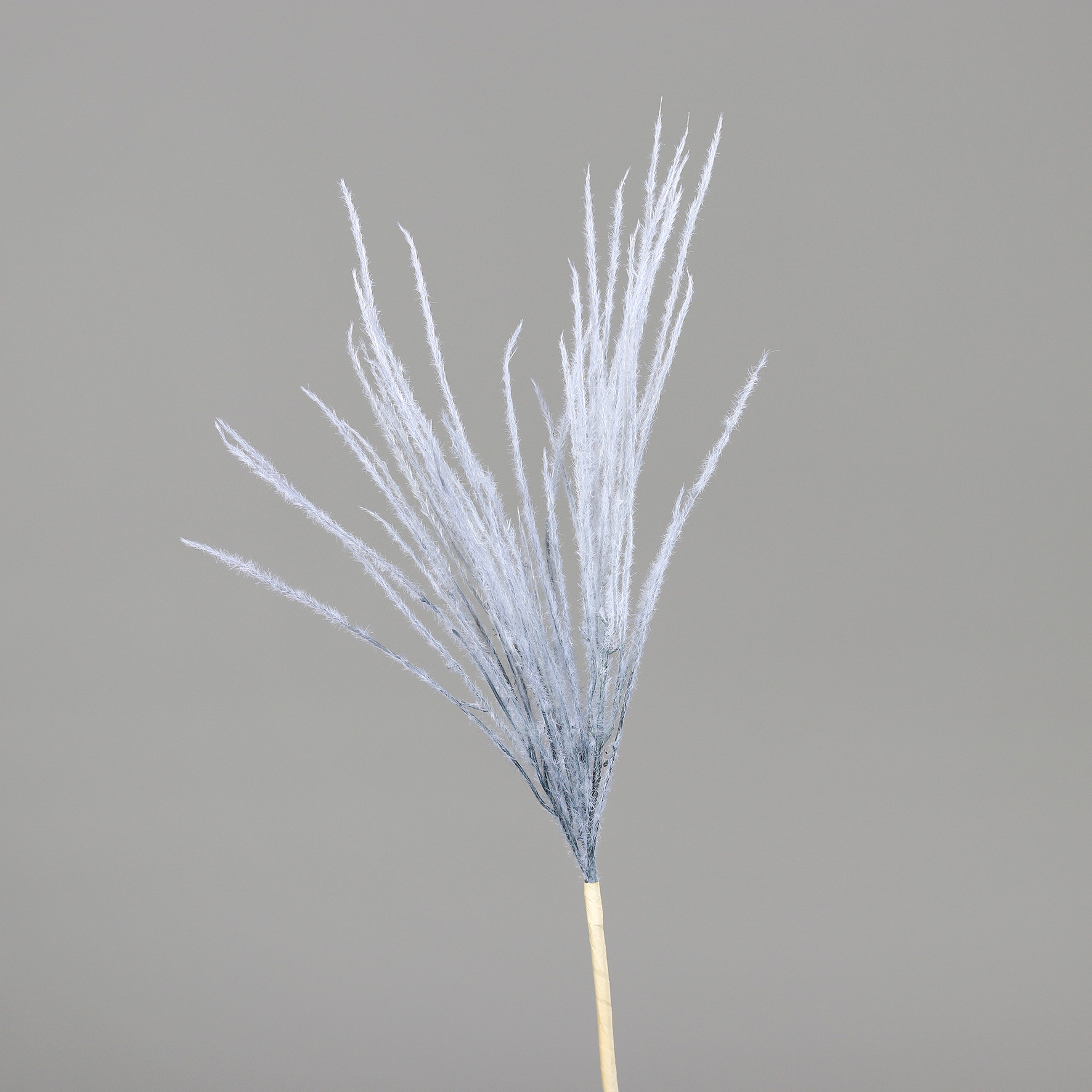 89220-06.jpg
