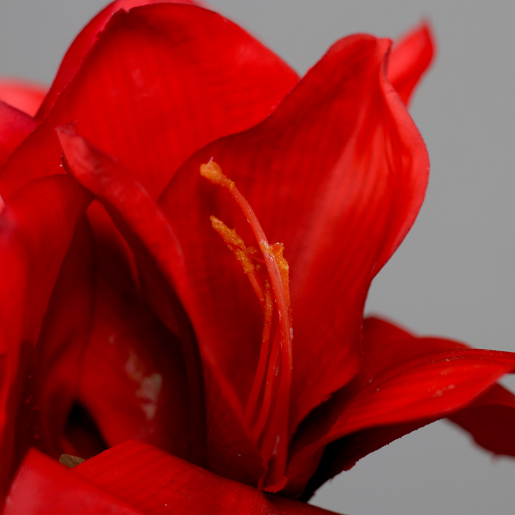 25598-02_C.jpg