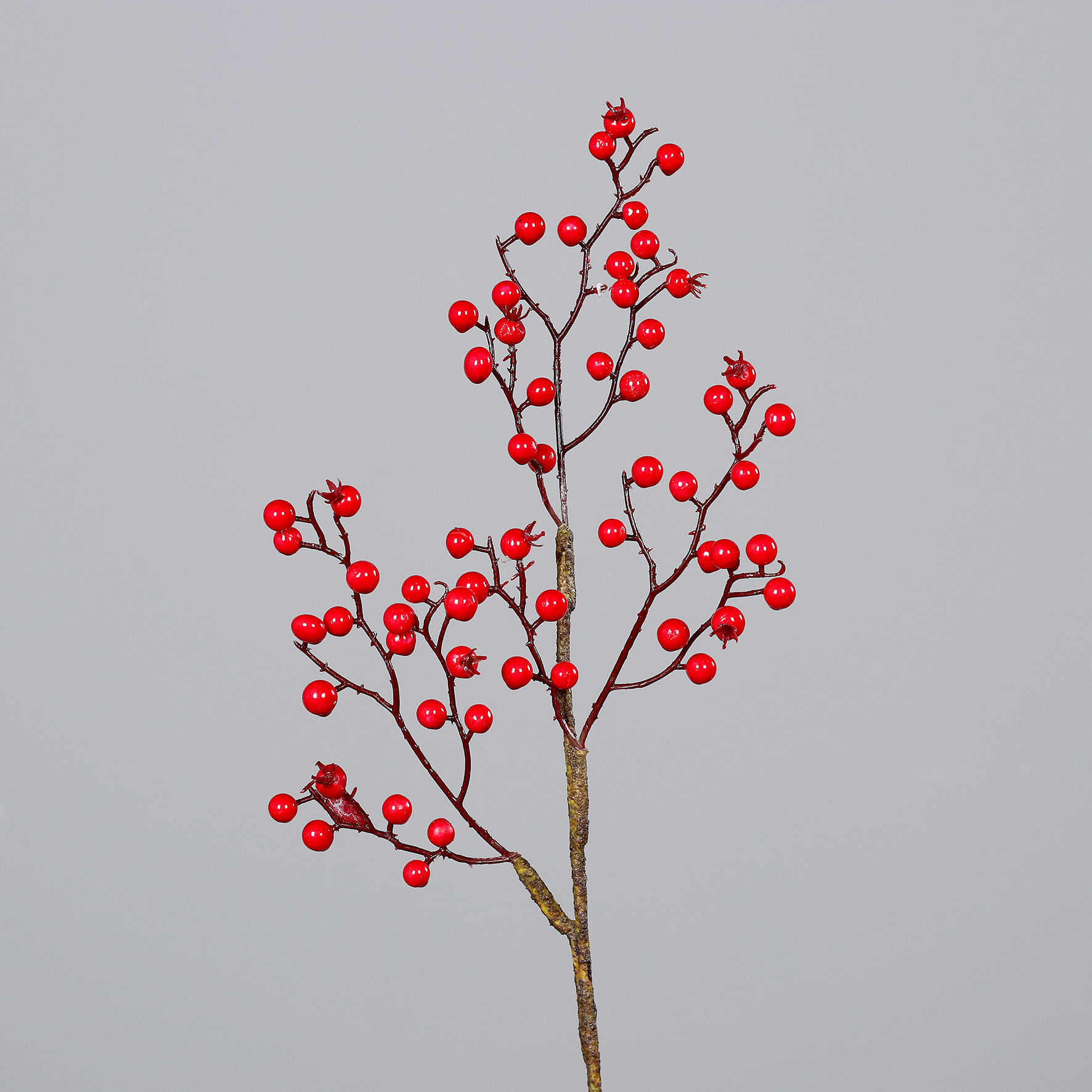 26334