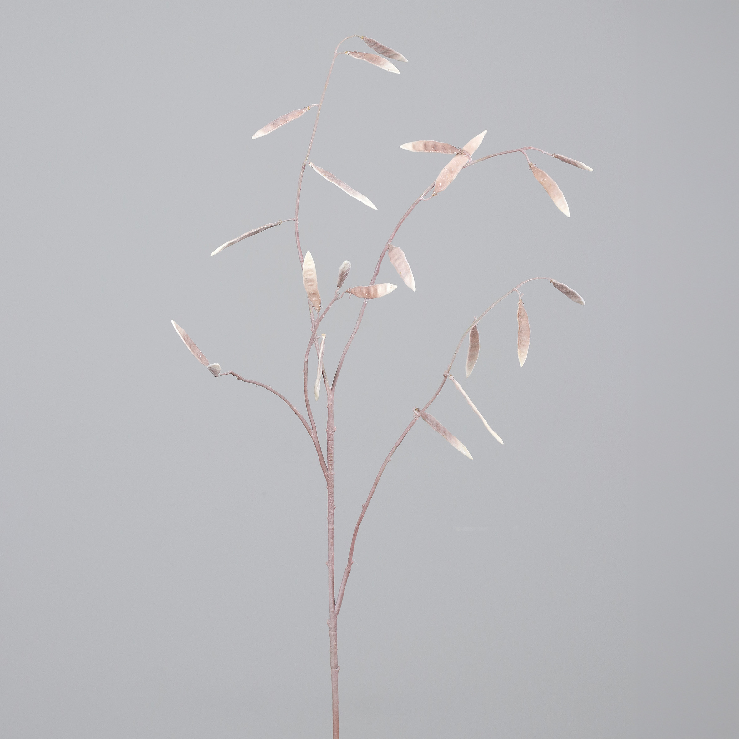 26040