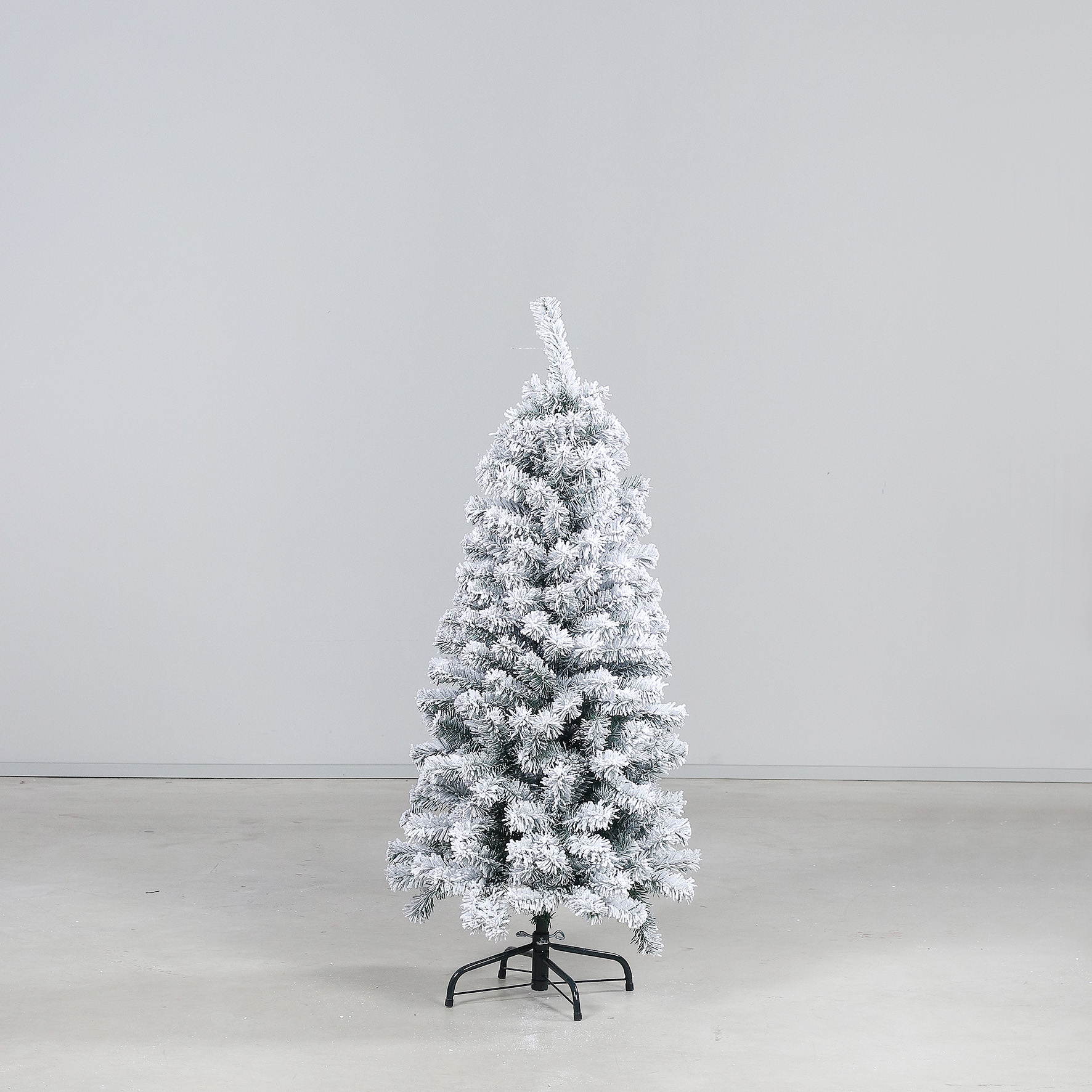 3669-19