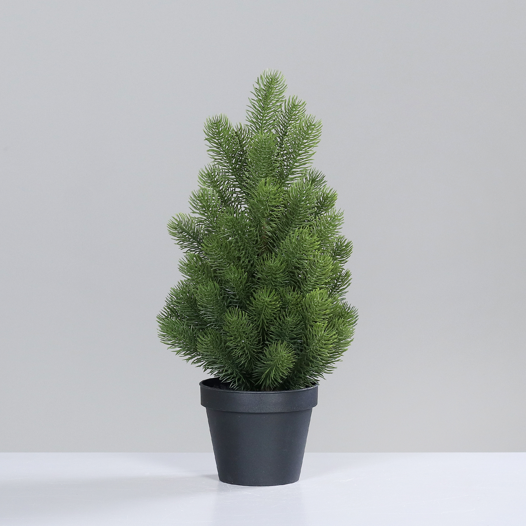 314462