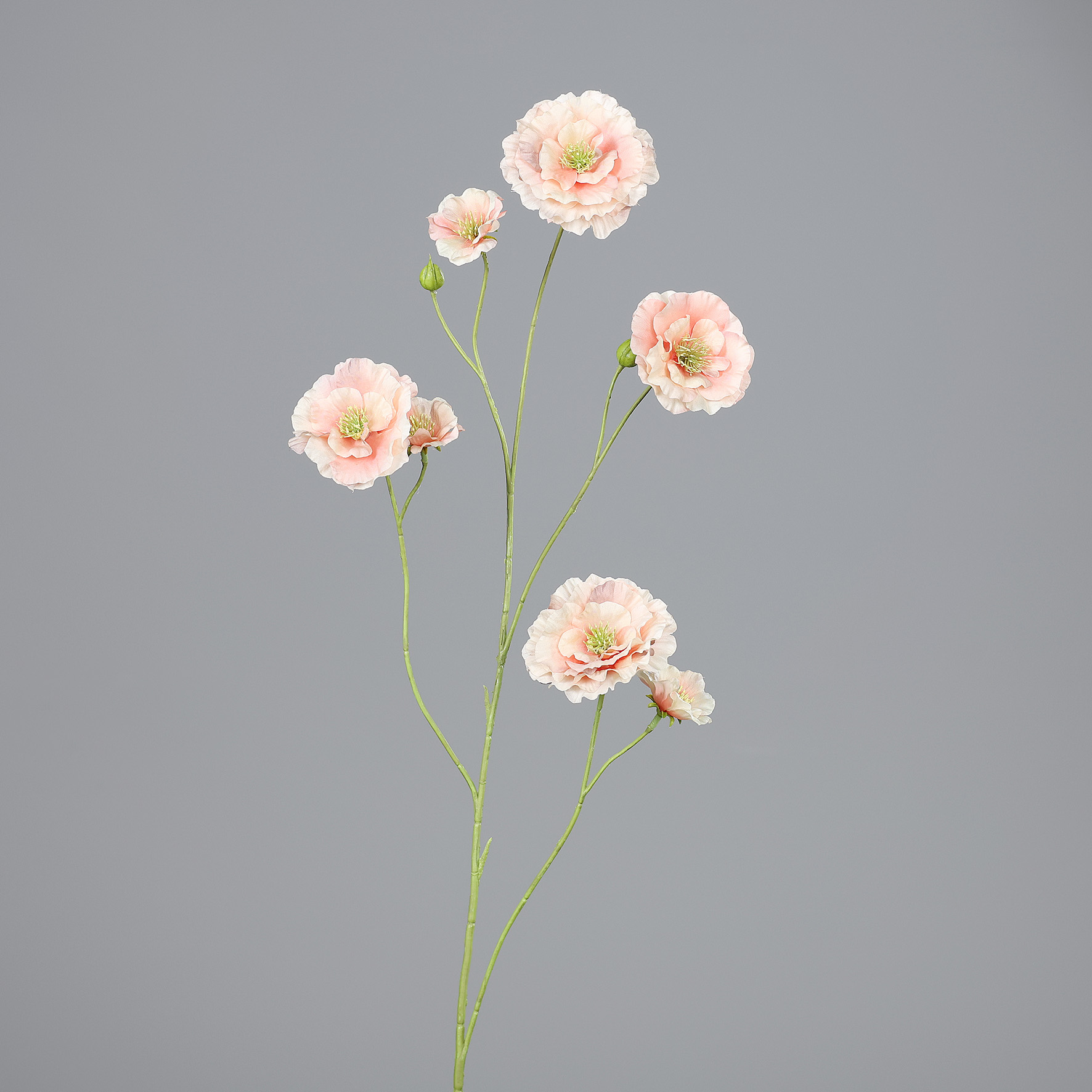 36495-31