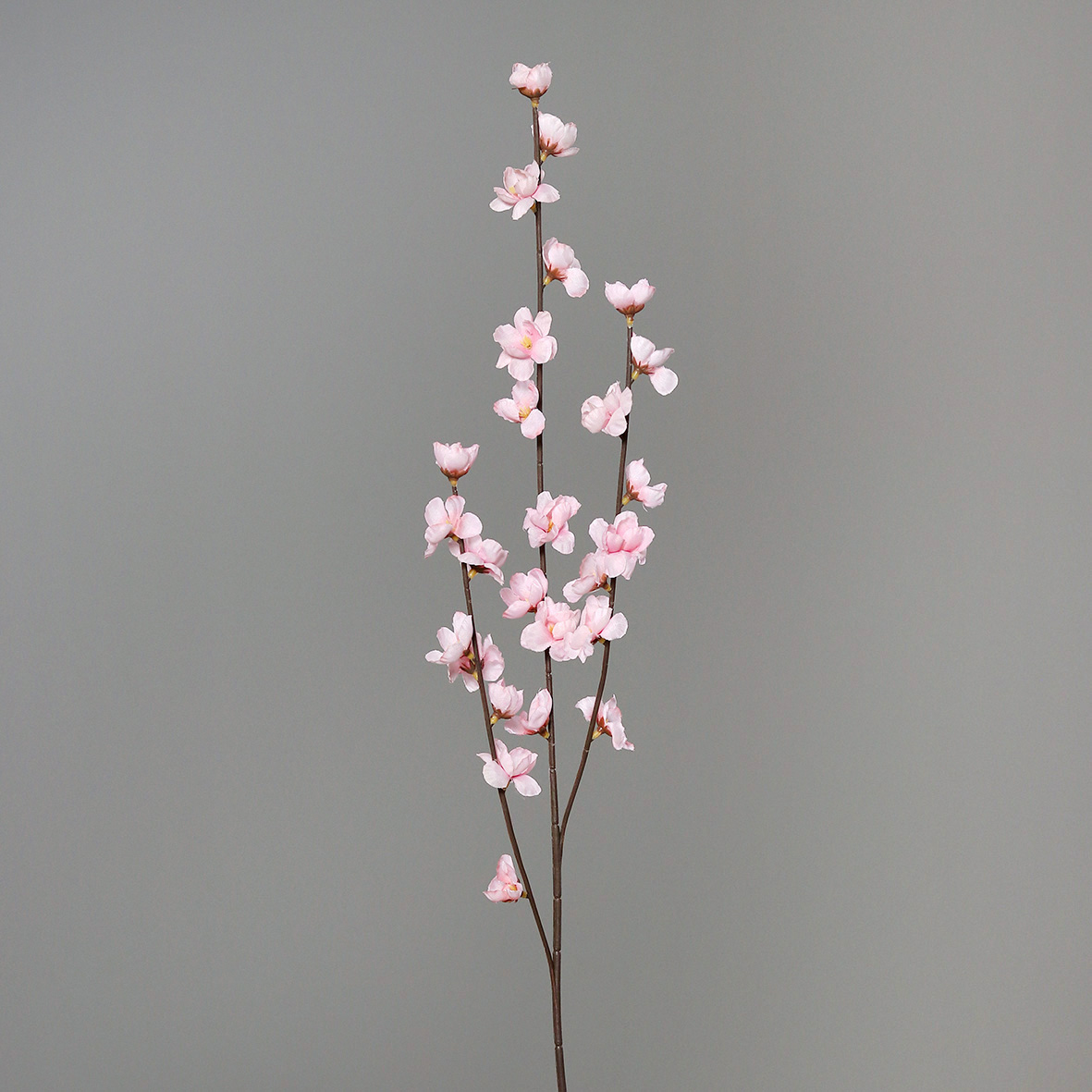 36504-31